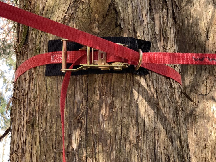 Tree Anchor Straps